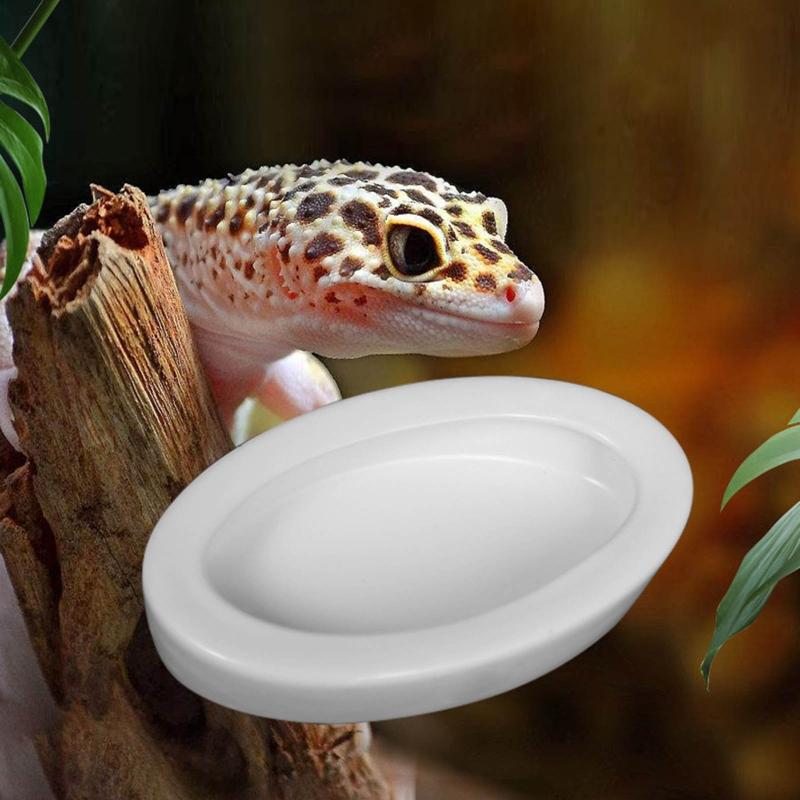 Reptile Water Food Bowl Terrarium Bowls Worm Dish Ceramic Pet Bowls Anti-Escape Feeding Dish, Birds Bowl
