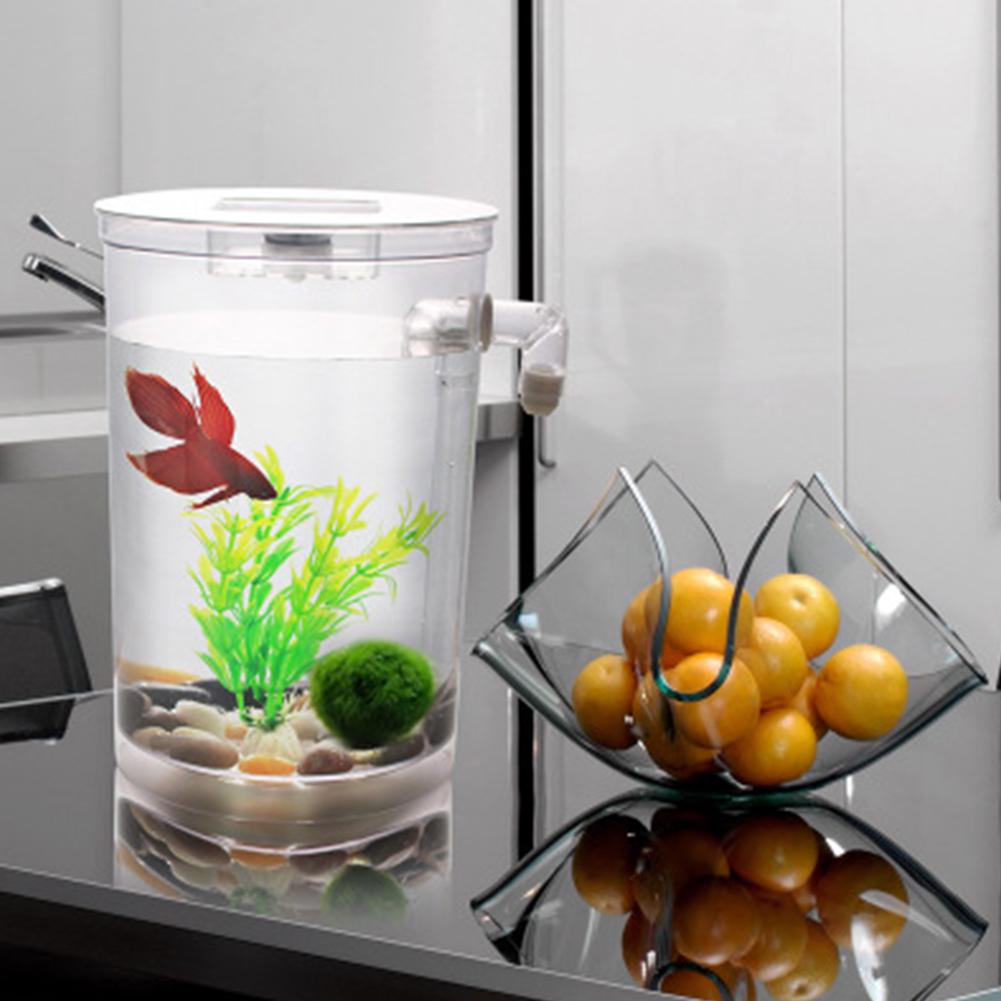 Transparentes Fischglas – Dekoratives, Transparen Produktbild-Vorschau 11