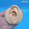 1:1 Silikon-Ohrmodell, professionelle Praxis-Piercing-Werkzeuge, Schmuckanzeige