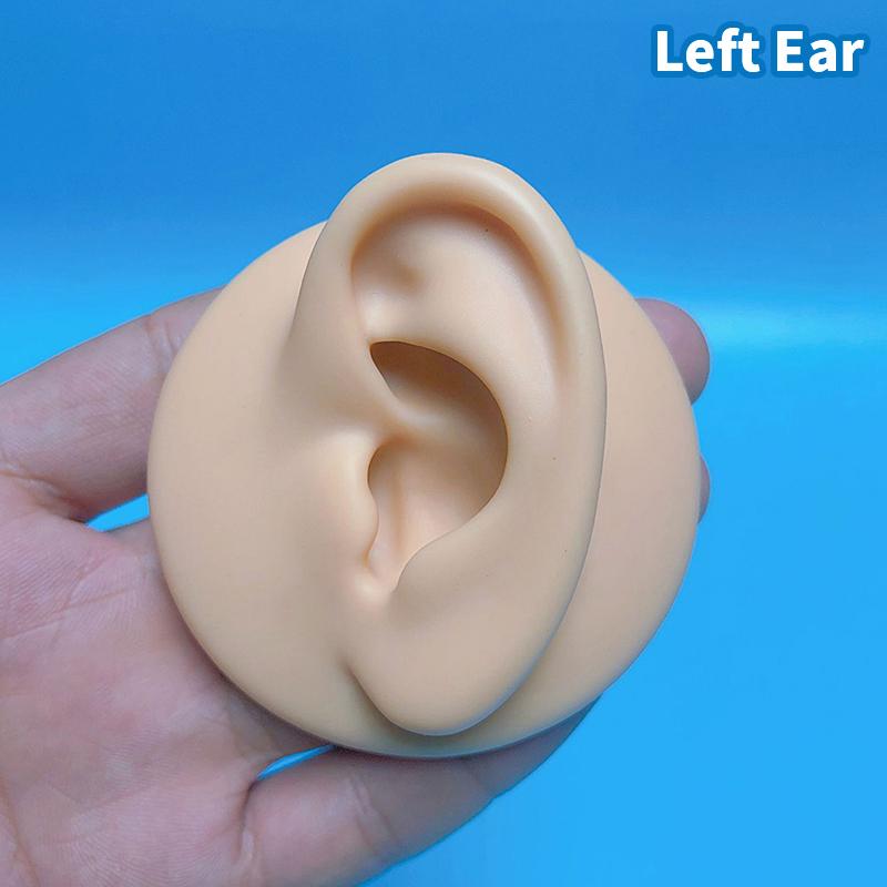 1:1 Silikon-Ohrmodell, professionelle Praxis-Piercing-Werkzeuge, Schmuckanzeige