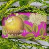 Elderflower & Pomelo Soap 240 G