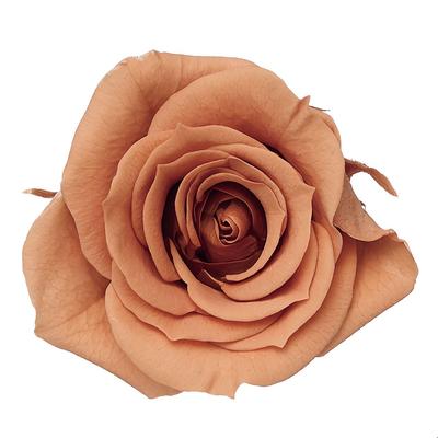 Deko & Wohnaccessoires – Künstliche Blumen & Kränze