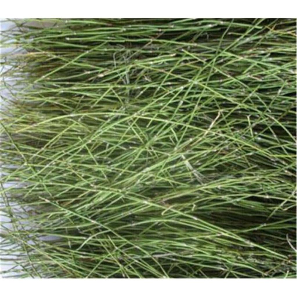 Ephedra Herb Tea China Original Scented Tea Good Tea Natural Organic Flower Tea Green Food Without Additives Herbal Tea (250g)