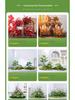 Luxury Faux Green Plant and Flower Decor - Indoor Moss and Grass Clusters for Elegant Landscaping.