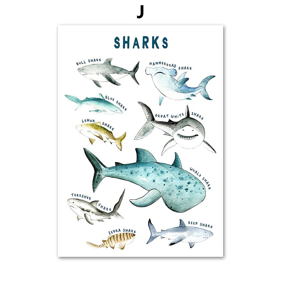 

Океанские животные, киты, акулы, рыбы, скандинавские образовательные плакаты и принты, настенная живопись на холсте, картины для декора детской комнаты A4 21X30cm No Framed