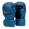 TLXT Professional Kickboxing Training Gloves