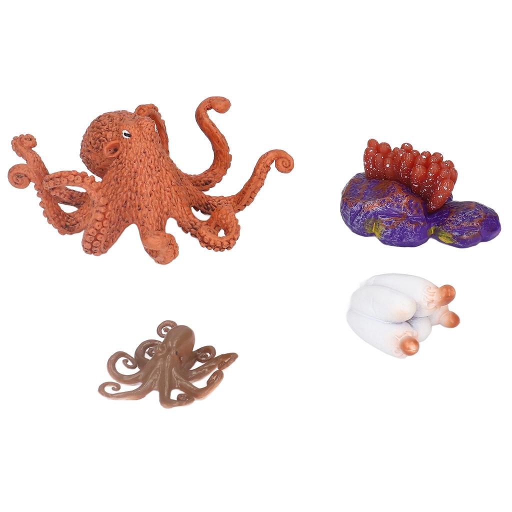 Growth Cycle Model Vinyl Material Safe Odorless Vivid Real Octopus Animal Life Cycle Model for