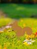 Metal Animal Garden Decor Set: Squirrel, Fox, Raccoon & Owl Yard Art