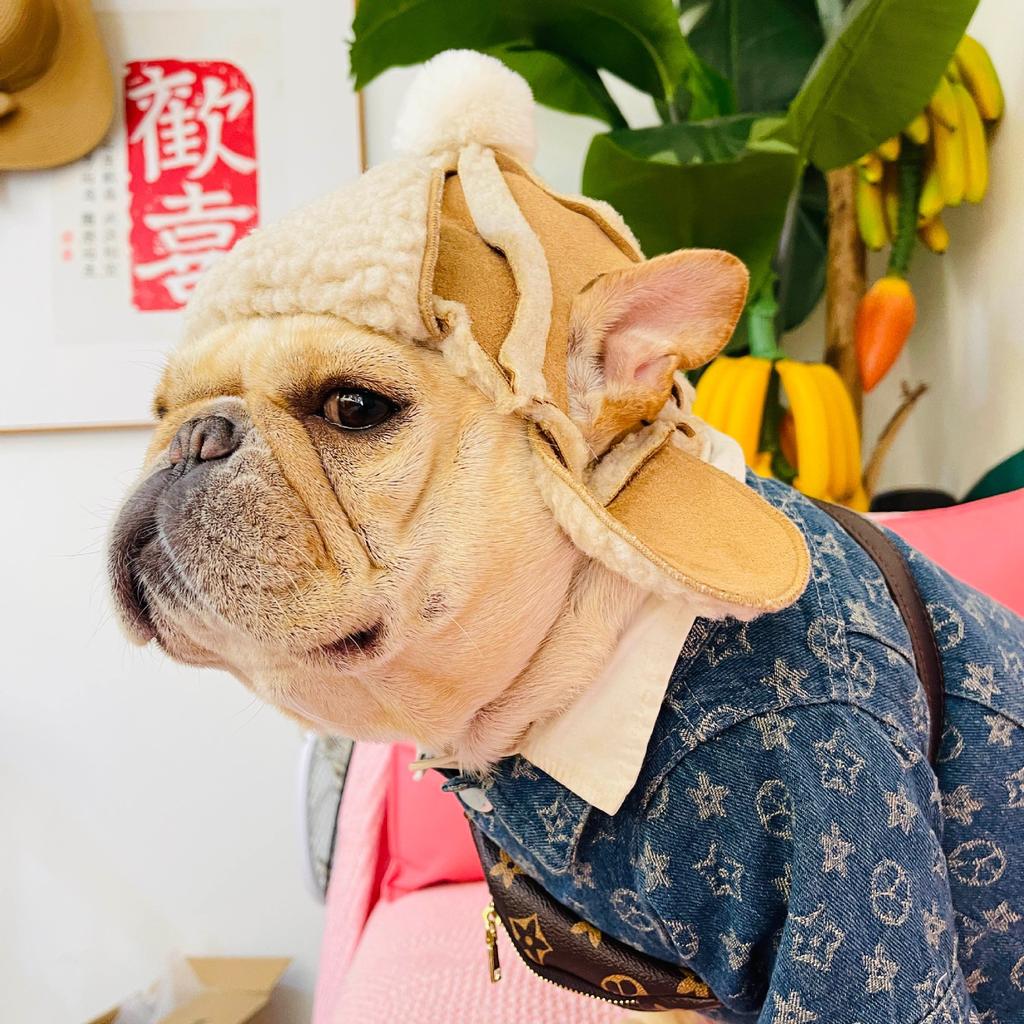 Mütze für Hunde, Winter-warme Mütze, Welpen-Teddy-Kostüm, Weihnachtskleidung, Weihnachtsmann-Hundekostüme, Chihuahua, Chapeu Para Cachorro