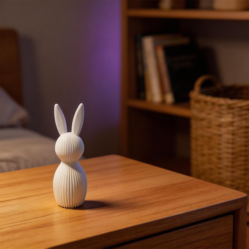 3D Nordic Style Easter Rabbit Figurines Set of 2 Plastic For home Decor Ornament 11cm 16cm Size White Pink Black Blue