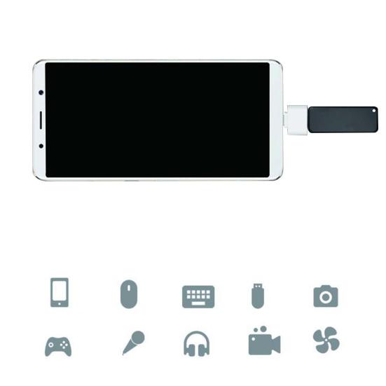Mini Handy zu USB Buchse Typ-C Stecker OTG Adapter Konverter Stecker