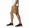 Columbia Silver Ridge™ Utility Cargo Pants