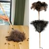 Feather Household Ostrich Duster With Handle For Efficient Dust Tool Removal