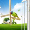 Wooden Parrot Perches Birds Stand Pole Rotatable Parrot Perches Bird Cage Accessories
