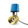 1/2" 3/4" 1" 2" Normalerweise Geschlossenes Motorisiertes Kugelhahn 220V 12V 24V 2-Draht Messing Elektrisches Magnetventil DN15 DN20 DN25 DN32