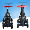 LTXG-1223 Manual Cast Iron Rising Stem Flange Gate Valve