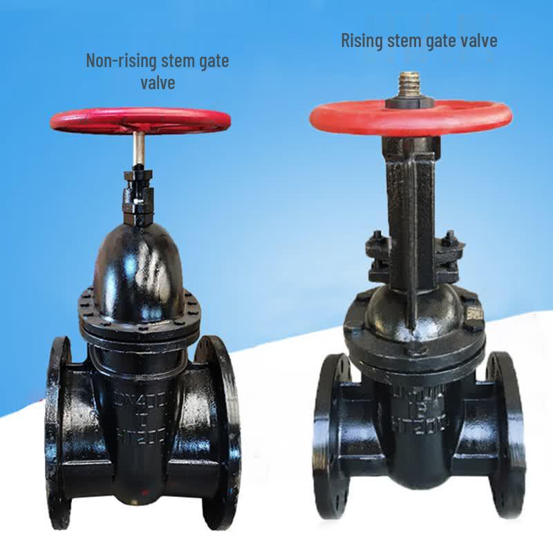 LTXG-1223 Manual Cast Iron Rising Stem Flange Gate Valve