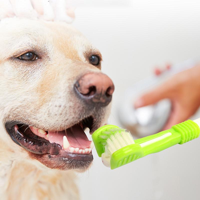 

HISTOTREE Pet Dog Cat 3-Head Toothbrush Plastic+Nylon Oral Care Teeth Cleaning Tool (BPA-Free,No FDA Certified) Blackish Green