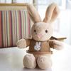 Rabbit Doll Plush Soft Stuffed Animal with Detachable Knitted Sweater Cute Lop-Ear Healing Toy for Kids Adults Bedroom Decor Gifts