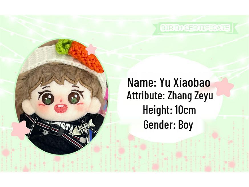 10cm Zhang Zeyu Cotton Doll Yu Xiaobao Plush Toy Pendant Keychain Gift