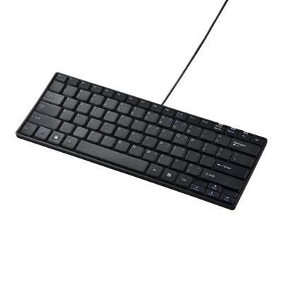 Sanwa Supply English Layout USB Slim Keyboard (Black) SKB-E3UN