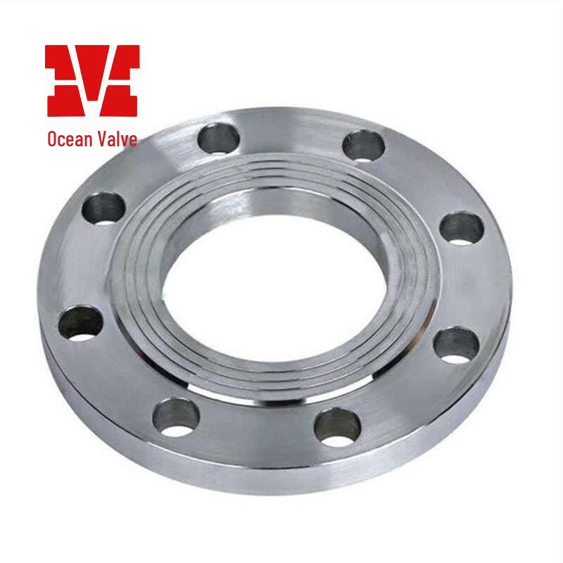 Ocean Valve 304 Stainless Steel RF Flat Weld Flange Plate PN16 DN100 - 1 pc