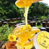 Honey Hand Wax Mask: 110g of Tender, Smooth Moisturizing Hand Care for Rough Skin & Calluses, Hydrating & Exfoliating for Soft, White Hands.