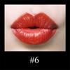 Waterproof Moisturizing Matte Lipstick Set Magnetic Lipstick Lipstick