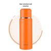 Simita Stainless Steel Portable Insulated Tea Mug