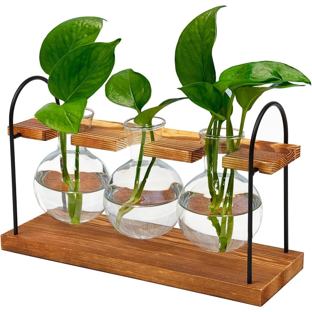 

3pcs Plant Terrarium with Wooden Stand The Ultimate Gift for Plant Lovers Propagation Station with Retro Glass Bulbs Creating 3pcs
