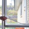 Anti-insect Anti Mosquito Net Indoor Room Fly Insect Mosquito Screen Window Screen DIY Curtain Net Mesh Bug Mosquito Curtain