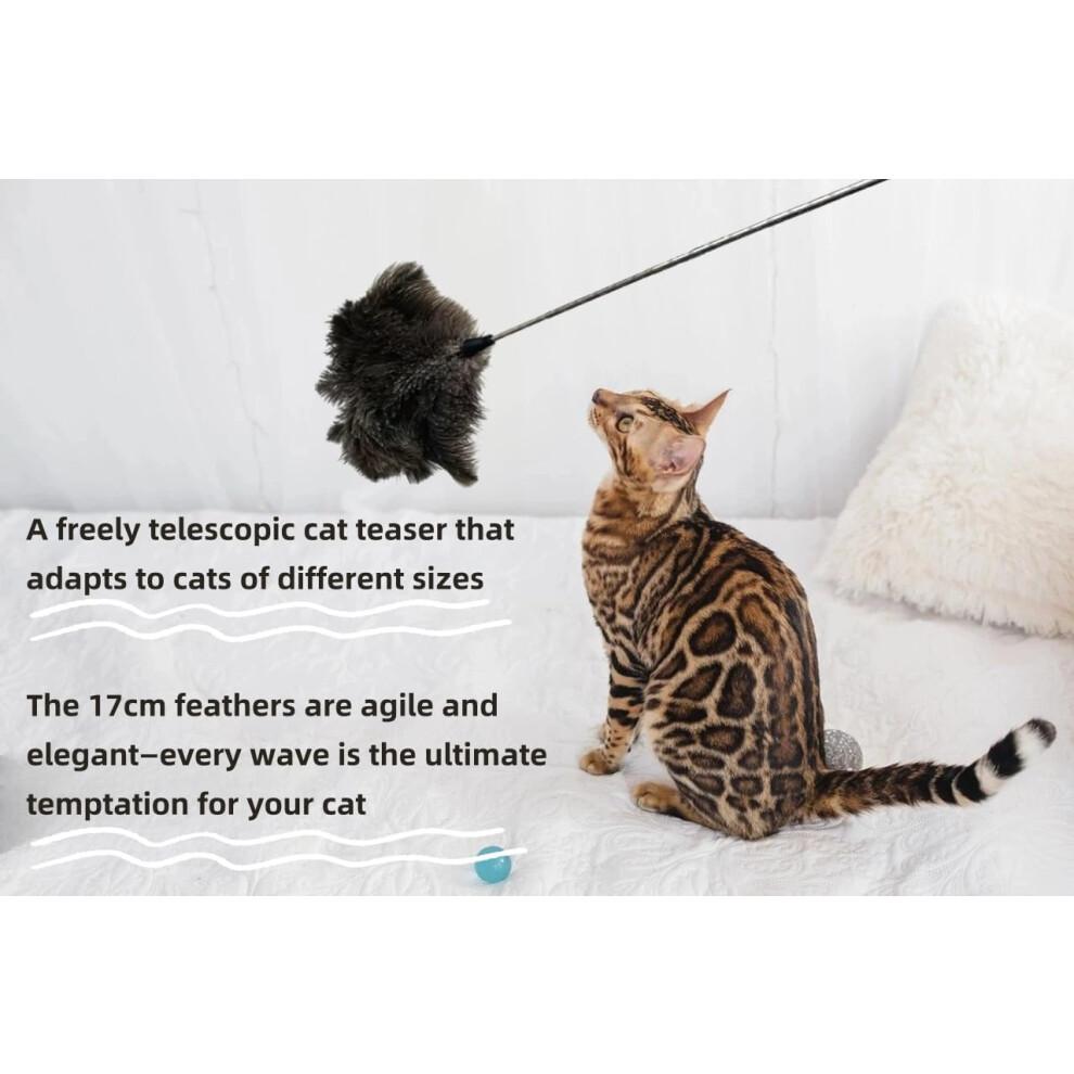 Natural Ostrich Feather Cat Teaser 30in Telescopic Rod Stainless Steel Undyed Feathers Dark Gray