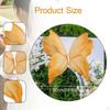 , Wedding Photography And Decoration Supplies.