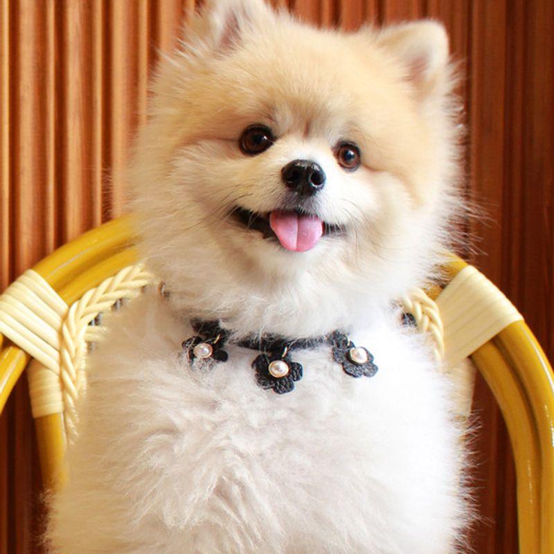 MAISON DE MIU Daisy Perlenkette Schwarz