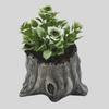 Succulents Planter Driftwood Planter Succulents Pots Small Plant Flower Cactus Pots Tree Stumb Wood Planter Decorations