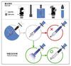 Twisbee Fountain Pen Twisbee Eco Clear TW100012