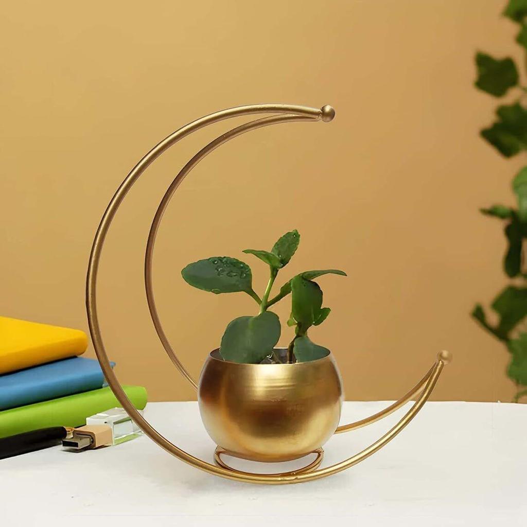 Metal Geometric Design Vase with Gold Finish - Table Decorative Flower Pot (Size 24 x 24cm) (Moon Flower Vase)