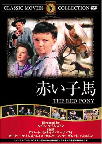 

DVD - Red foal FRT198 Japan Movies & DVD Used
