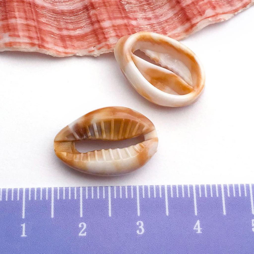 Gold-Plated Natural Shell Conch Pendant for DIY Necklace, Earrings, Wind Chime, or Hanging Ornament.