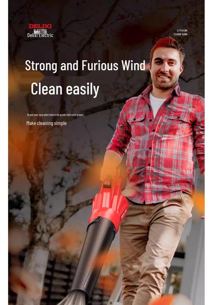 Delixi High-Power Rechargeable Leaf Blower & Industrial Hair Dryer