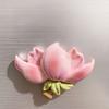 3D Cherry Blossom Refrigerator Magnet Resin Pink Flower Decorative Fridge Magnet Memo Notes Photo Holder for Home Kitchen Office