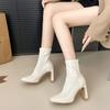 Winter Platform Thick Heel Women Ankle Boots Fashion Square Toe Zippers Shoes Female Stretch Slim Short Booties Zapatos De Muje