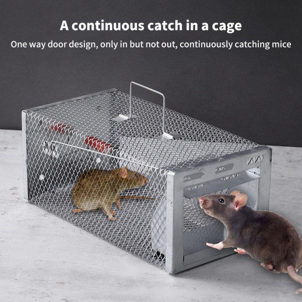 Large Capacity Multi-Catch Rodent Mouse Trap Humane Live Animal Trap Indoor and Outdoor