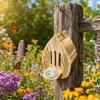 Wooden Butterfly House with Feeder for Outdoor Garden Butterfly