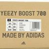 EG7487 adidas Yeezy Boost 700 Salt