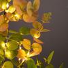 Thanksgiving LED Maple & Rose Flower Decorative Tree & Night String Lights
