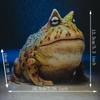 New Product Creative Simulation Frog Resin Craft Courtyard Decoration Animal Model Ornament Desk Decoration Home Accessories