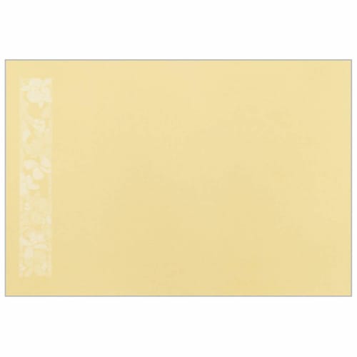 Nagao Placemats, Cattleya, 26x38cm, Set of 100, Made In Japan, 31042