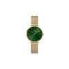 [Official Shop/2-Year Warranty/Authentic Import] Daniel Wellington DW Women's Petite Emerald 28mm Watch, Stylish Designer Watch In Gold and Green, Per
