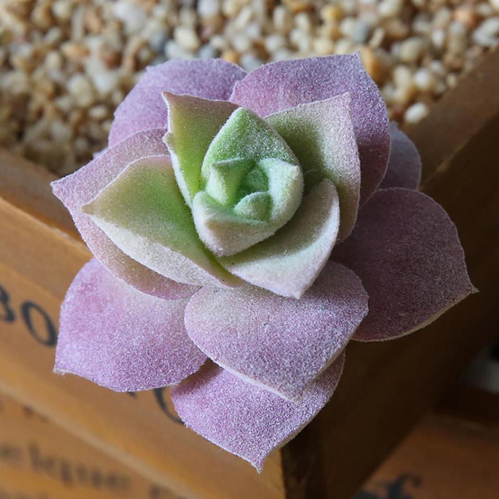 1Pc Plastic Fake Artificial Succulents Plant Bonsai Garden Home Office Decor